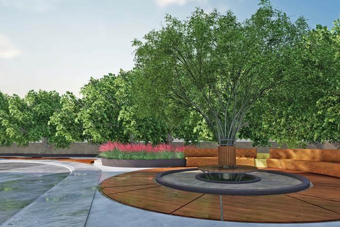 Landscaped courtyard with a circular tree seat at Acasa